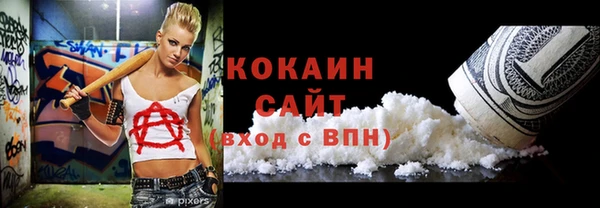 соль ск Белокуриха