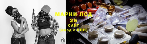 индика Беломорск