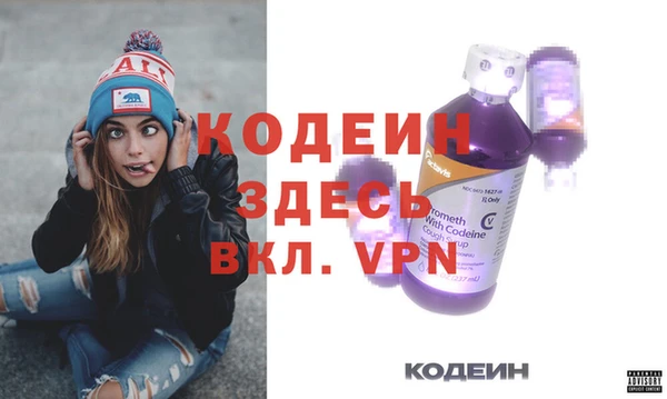 индика Беломорск