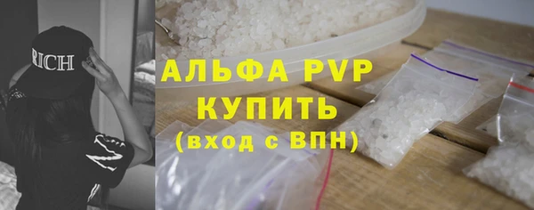 индика Беломорск