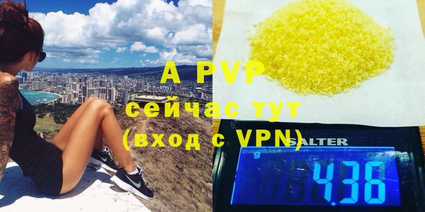 соль ск Белокуриха