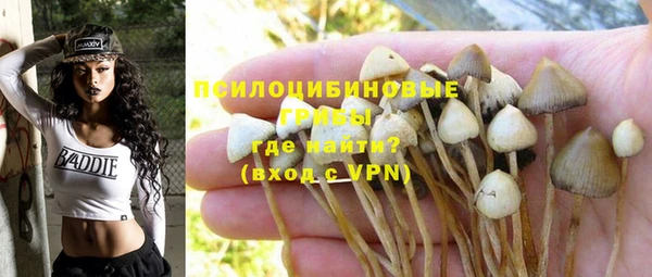 соль ск Белокуриха