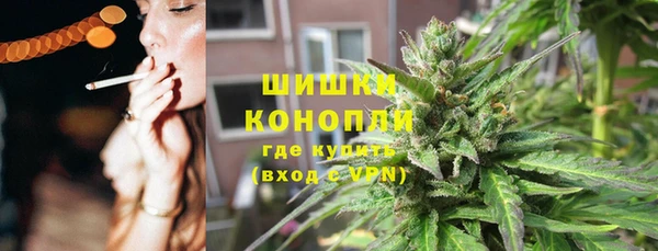 индика Беломорск