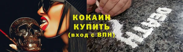 индика Беломорск