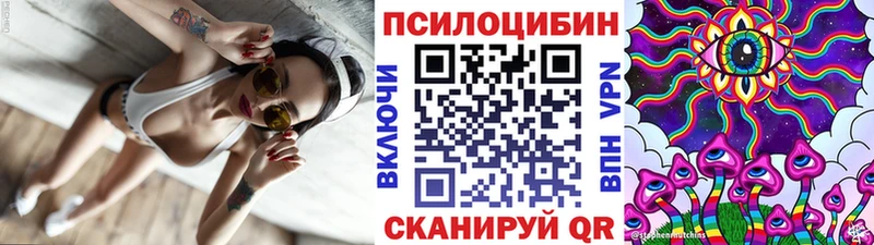 Галлюциногенные грибы Psilocybine cubensis  Воткинск 